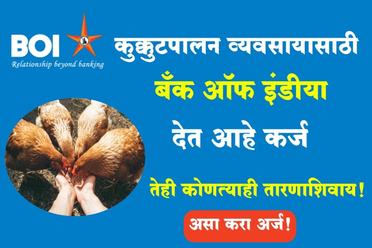Bank Of India Poultry Loan