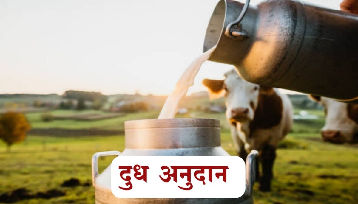 Milk Subsidy Maharashtra